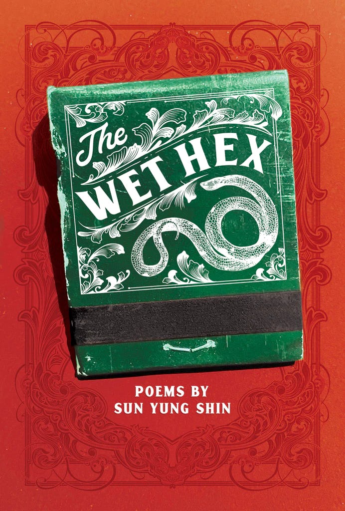 &lsquo;The Wet Hex&rsquo; by Sun Yung Shin