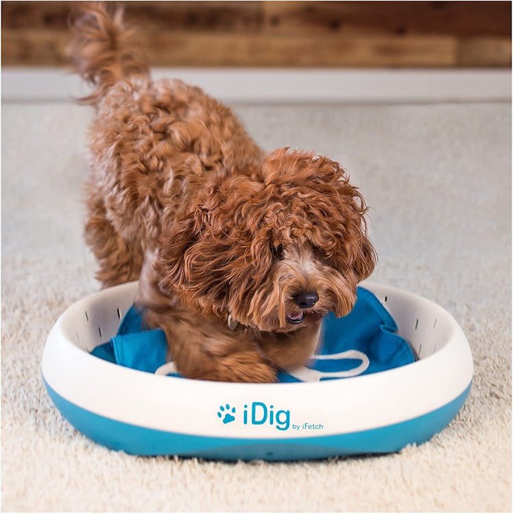 iFetch Digging Toy