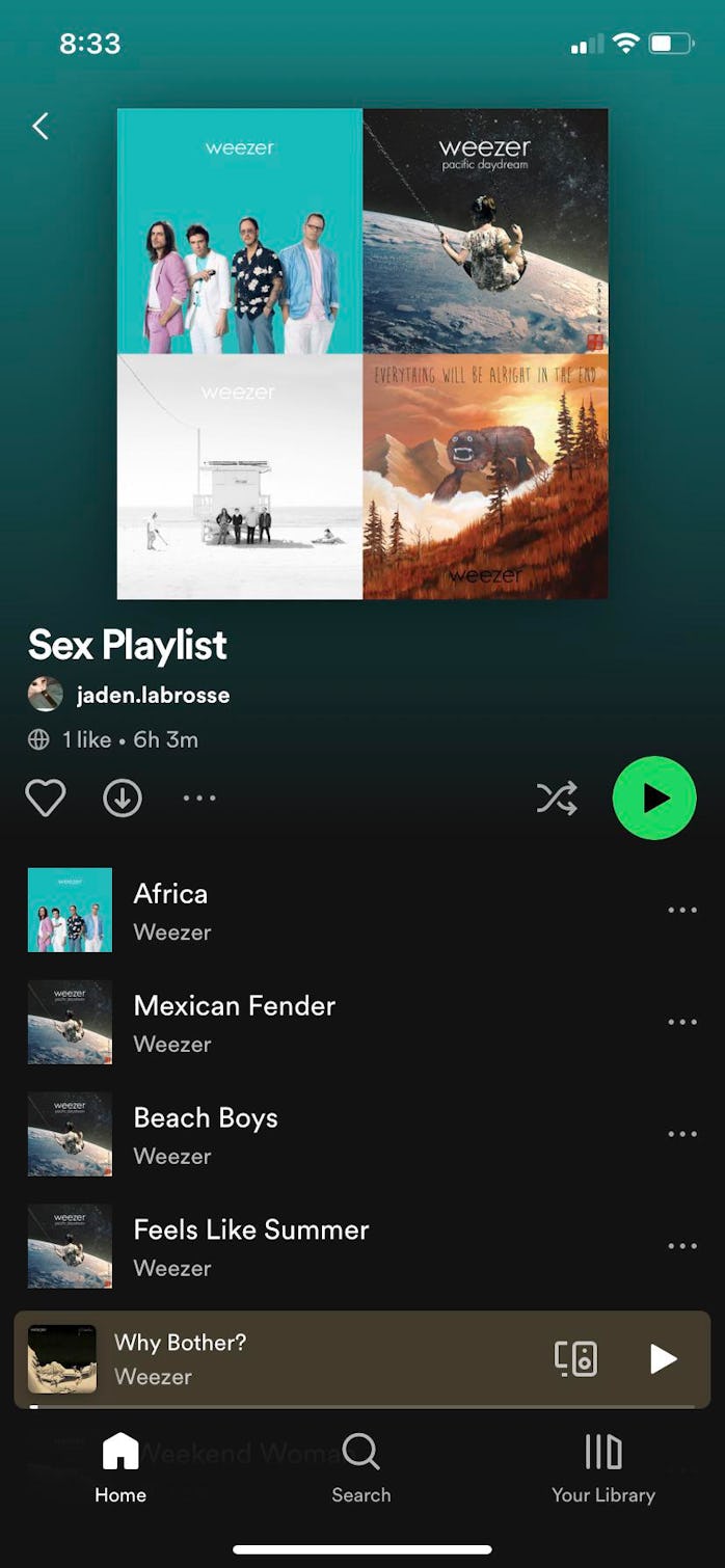 A screenshot from r/weirdspotifyplaylists