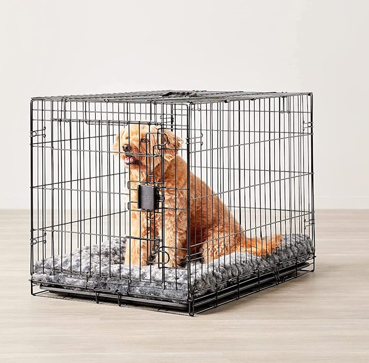 Amazon Basics Foldable Dog Crate