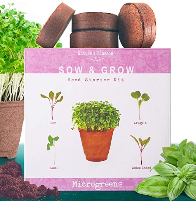 Nature’s Blossom Microgreens Sprouting Kit