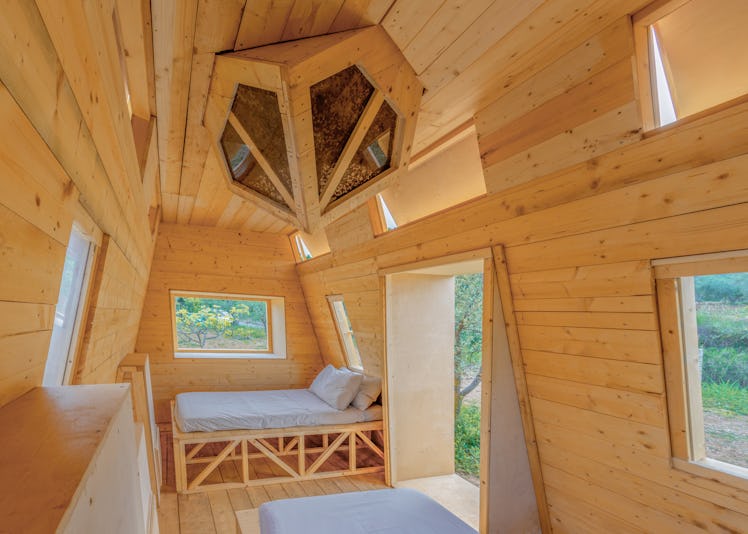 Airbnb's bee farm stay in Italy lets you sleep with bees. 