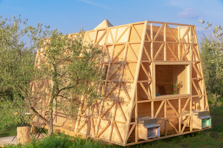 Airbnb's bee farm stay in Italy is an Insta-worthy home with a million bees.