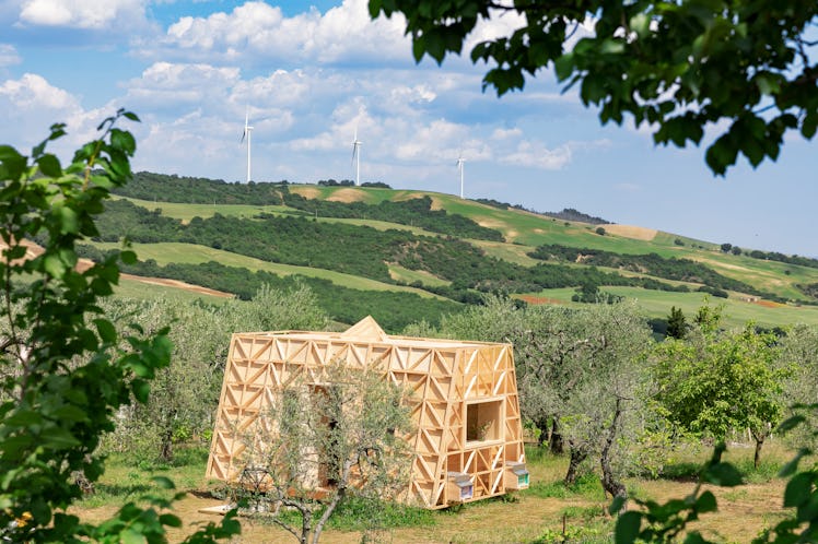 Airbnb's bee farm stay in Italy is located in olive grove. 