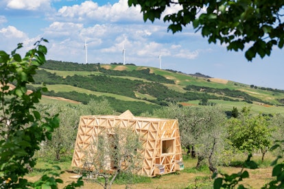 Airbnb's bee farm stay in Italy is located in olive grove. 