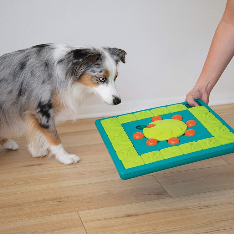 Outward Hound MultiPuzzle Dog Treat Toy