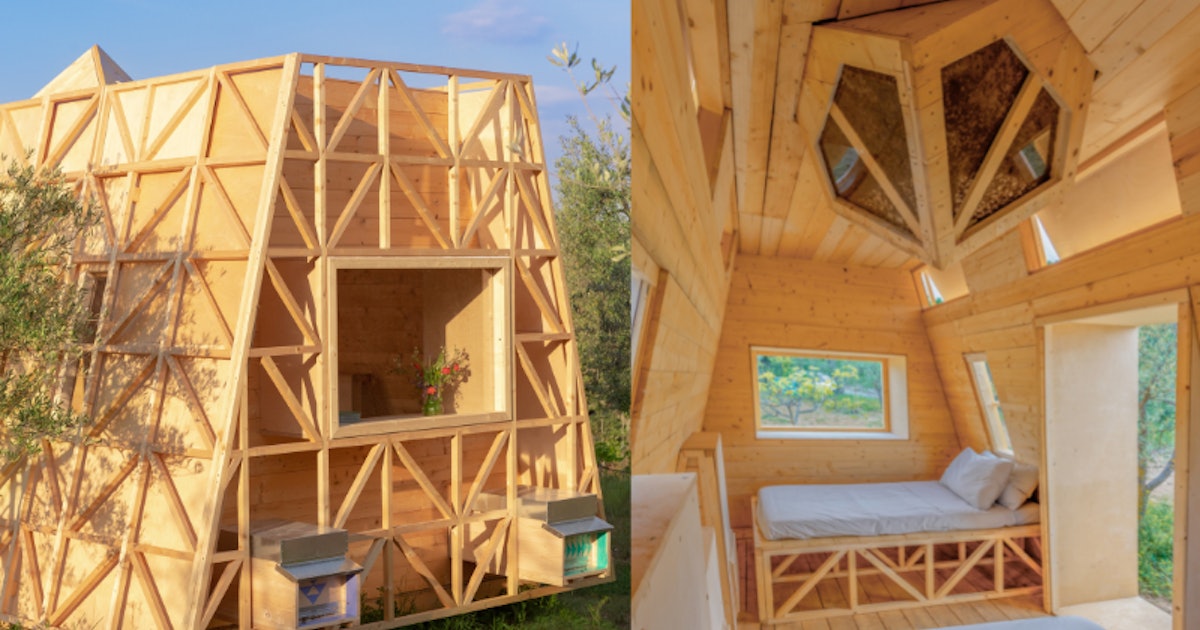 Questo allevamento di api di Airbnb in Italia è come dormire in un alveare gigante