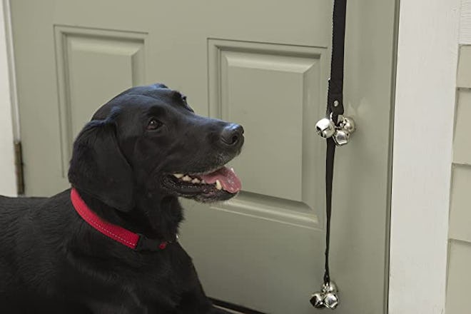 Caldwell’s Pet Supply Co. Potty Bells