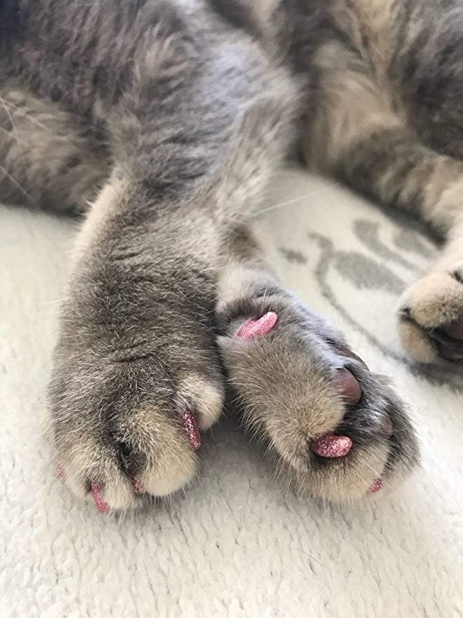 YMCCOOL Cat Claw Covers