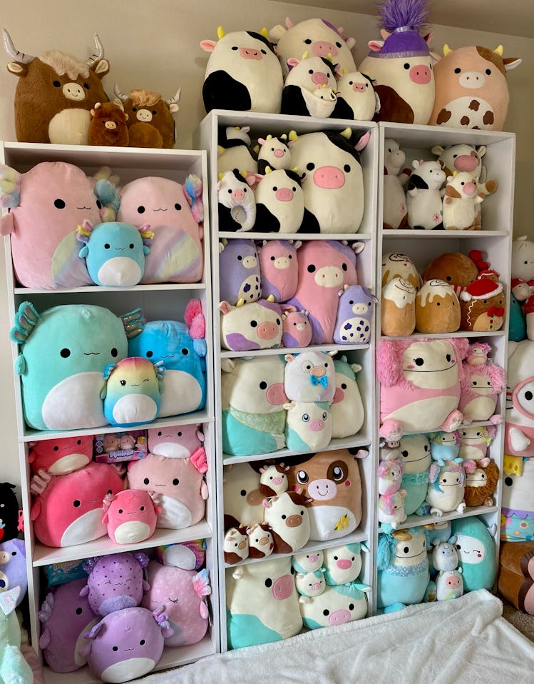 Squishmallow collection on shelves