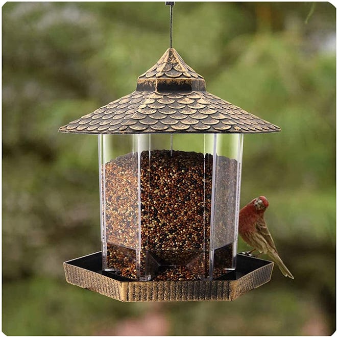 Twinkle Star Wild Bird Feeder