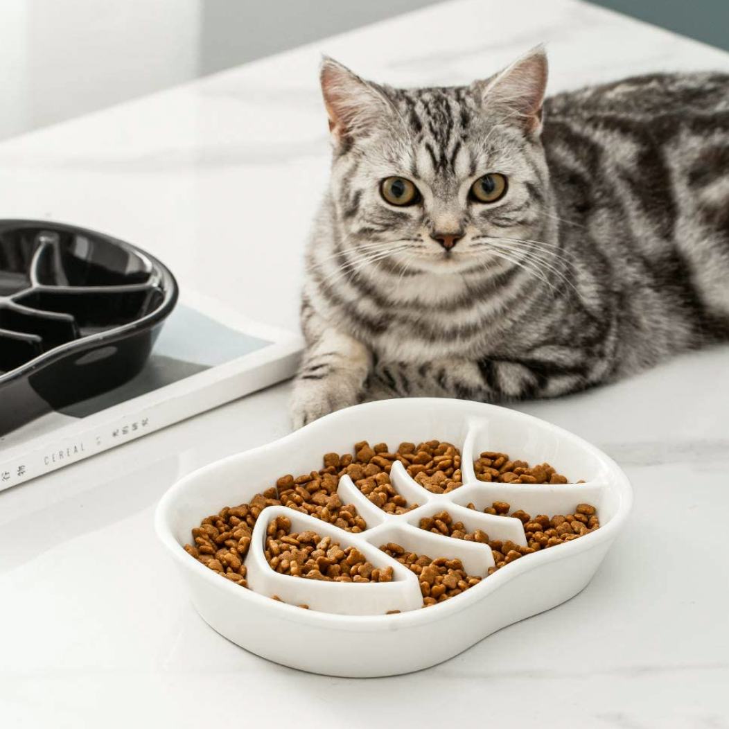 The 7 Best Slow Feeders For Cats