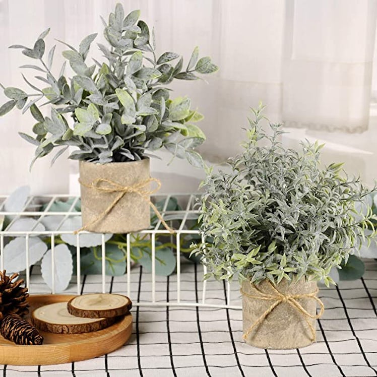 JC nateva Mini Potted Artificial Plants (6-Pack) 