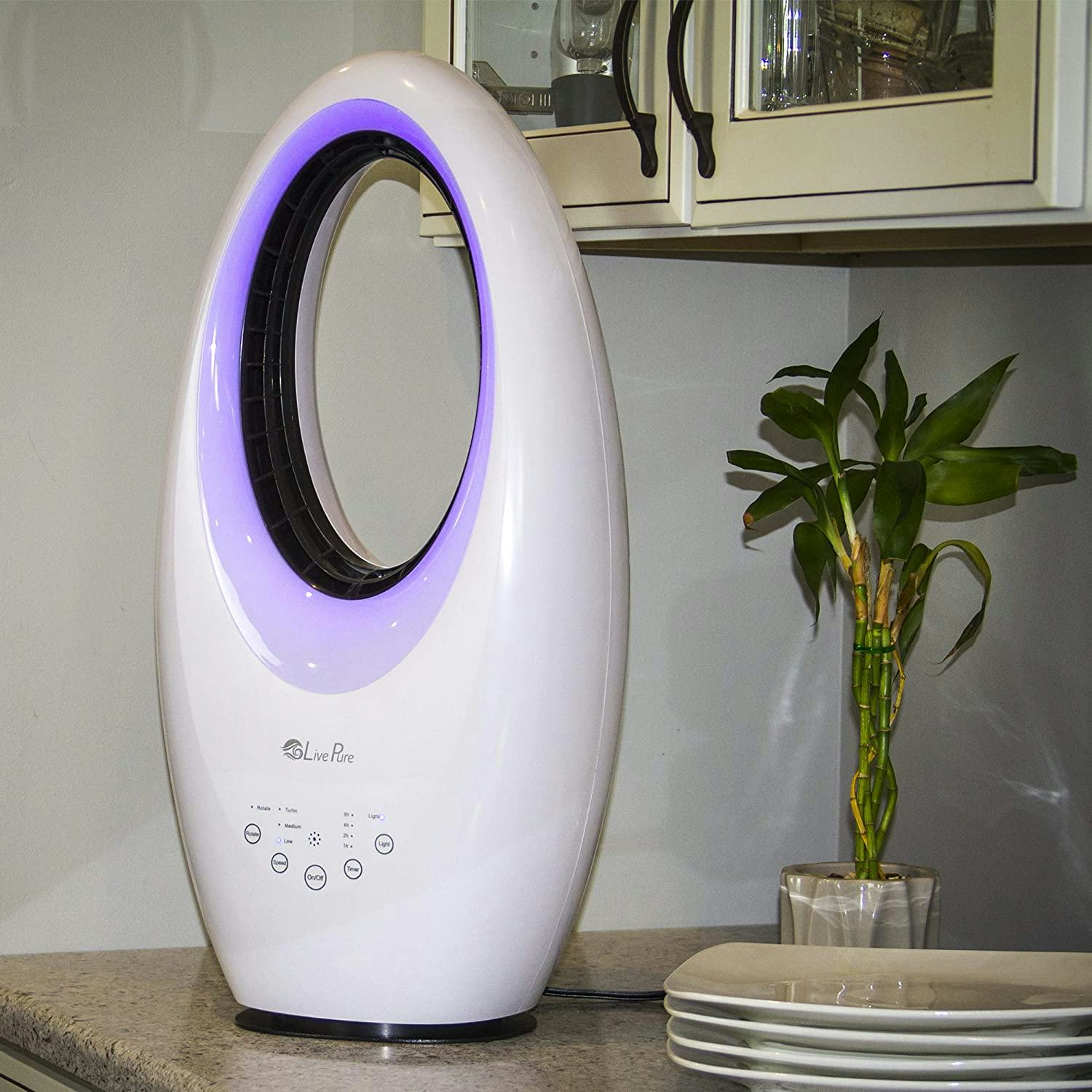 The 6 Best Fans For Large Rooms In 2022