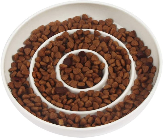 best basic slow feeder for cats