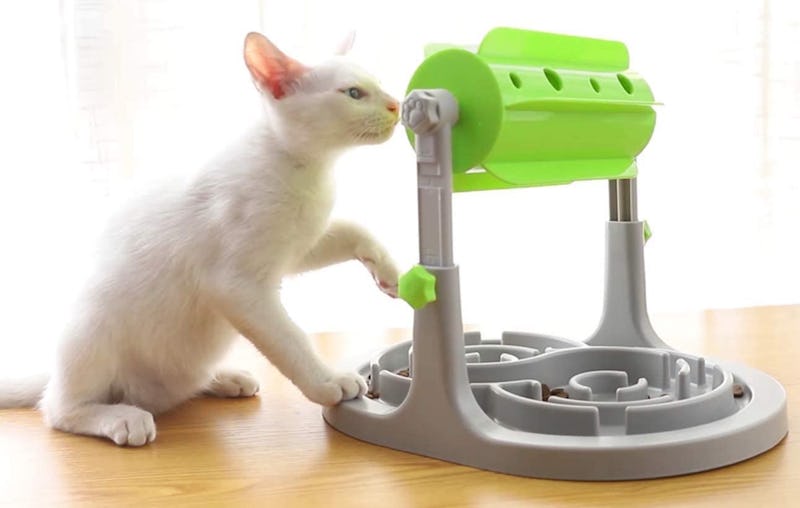 best cat puzzle feeder