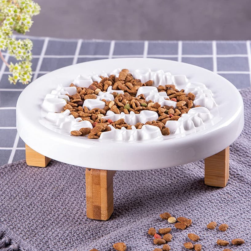 The 7 Best Slow Feeders For Cats
