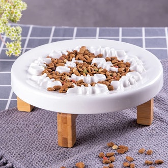 best elevated slow feeder for cats