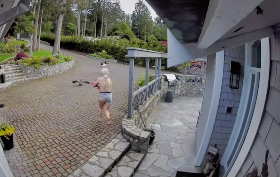 A topless woman wearing gray boxer shorts and nursing an infant chases a bald eagle away from her pe...