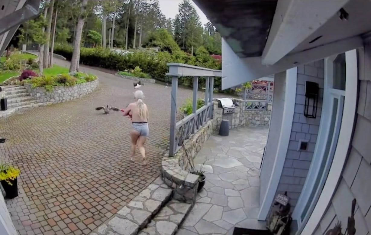 UnderwearClad Mom Chases Eagle From Pet Goose While Breastfeeding