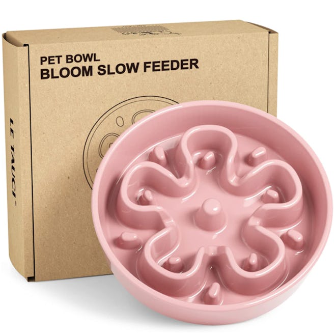 best slow feeders for cats in fun colors