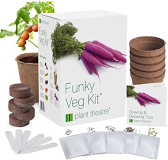 Plant Theatre Funky Veg Kit