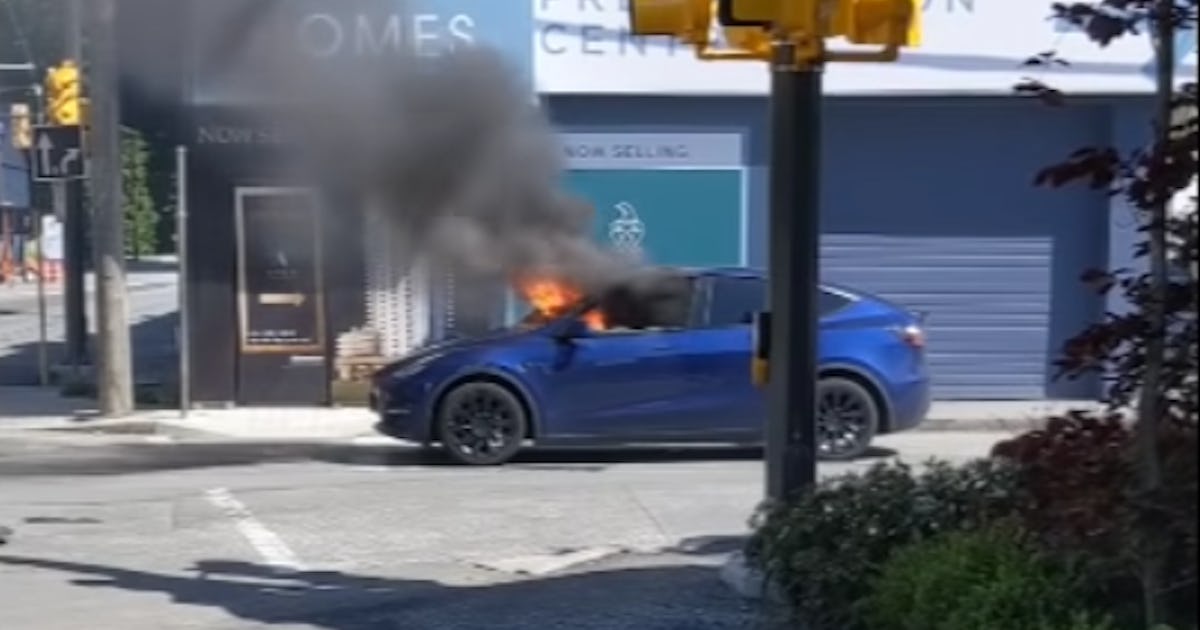 Tesla owner breaks window to escape after car bursts into flames
