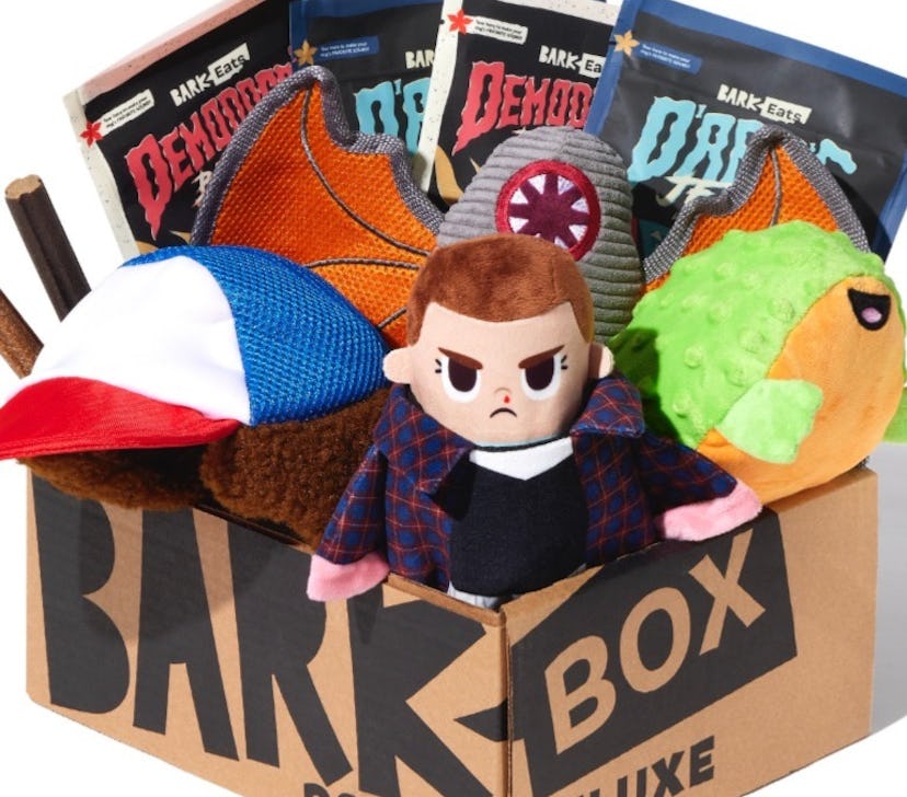 BarkBox’s ‘Stranger Things’ collection is perfect for your dog-friendly viewing party.