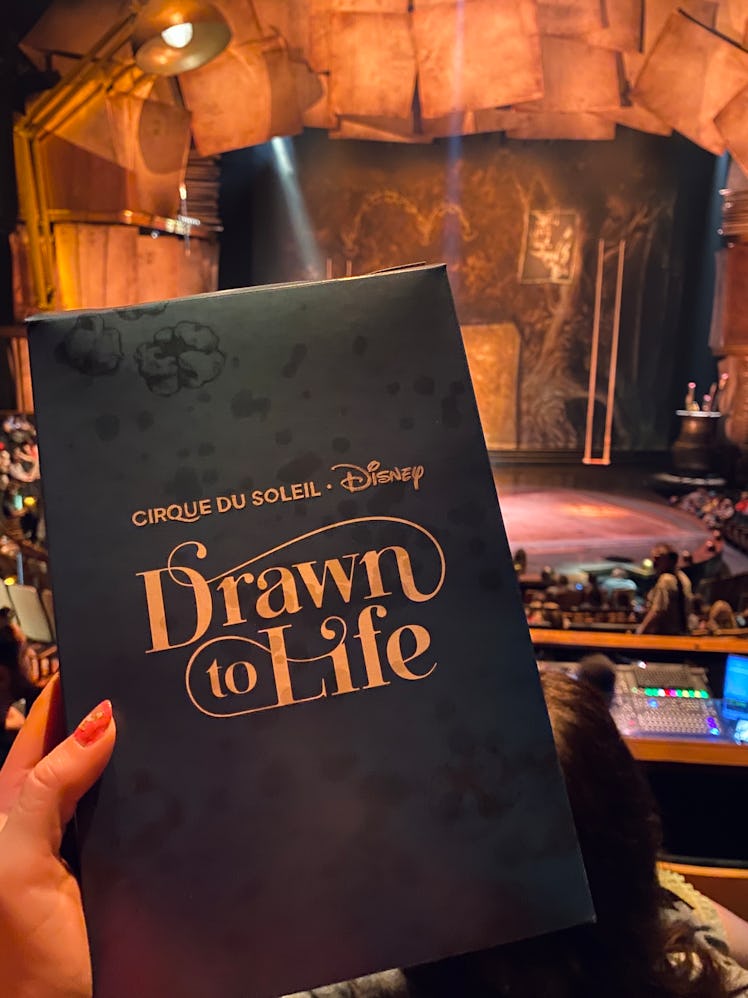 One thing to do at Disney without needing a ticket is to go to the new Cirque du Soleil show.