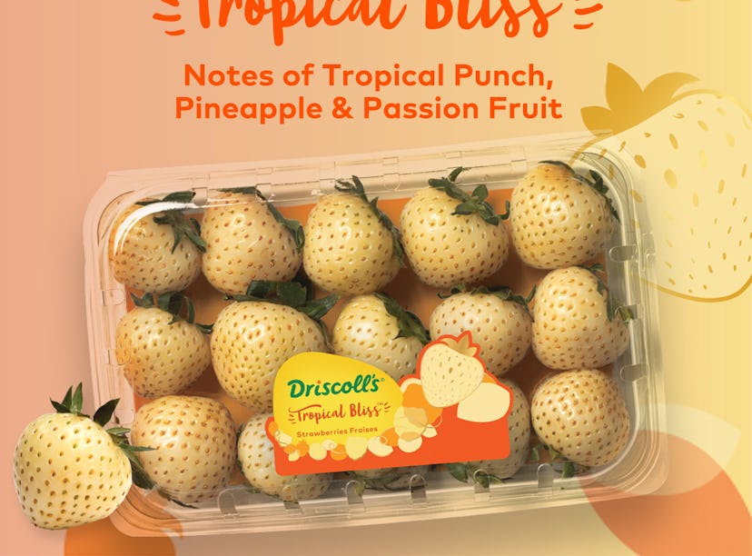 Here’s what you need to know about where to buy Driscoll’s Tropical Bliss strawberries that taste li...