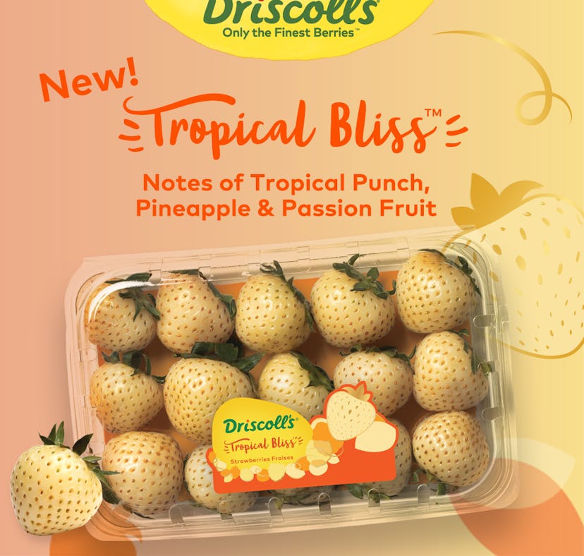 Here’s what you need to know about where to buy Driscoll’s Tropical Bliss strawberries that taste li...