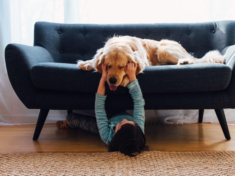 A little kid lying on floor and playing with a dog