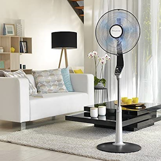 Best Pedestal Floor Fan For Large Rooms