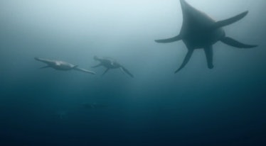 Screenshot from Prehistoric Planet trailer