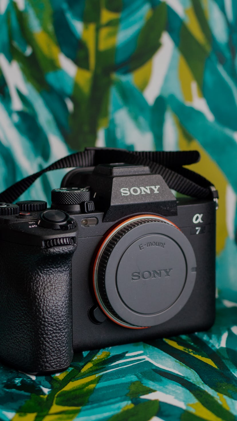 Sony A7 IV review: As a Nikon user, this full-frame mirrorless camera won me over