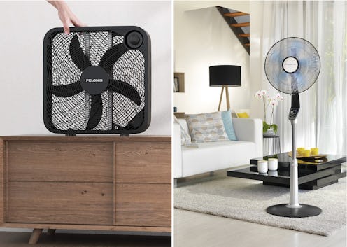 The Best Fans For Large Rooms - One box fan and one standing fan