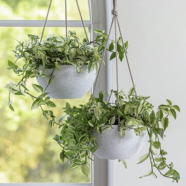 LA JOLIE MUSE Hanging Planter (Set of 2)