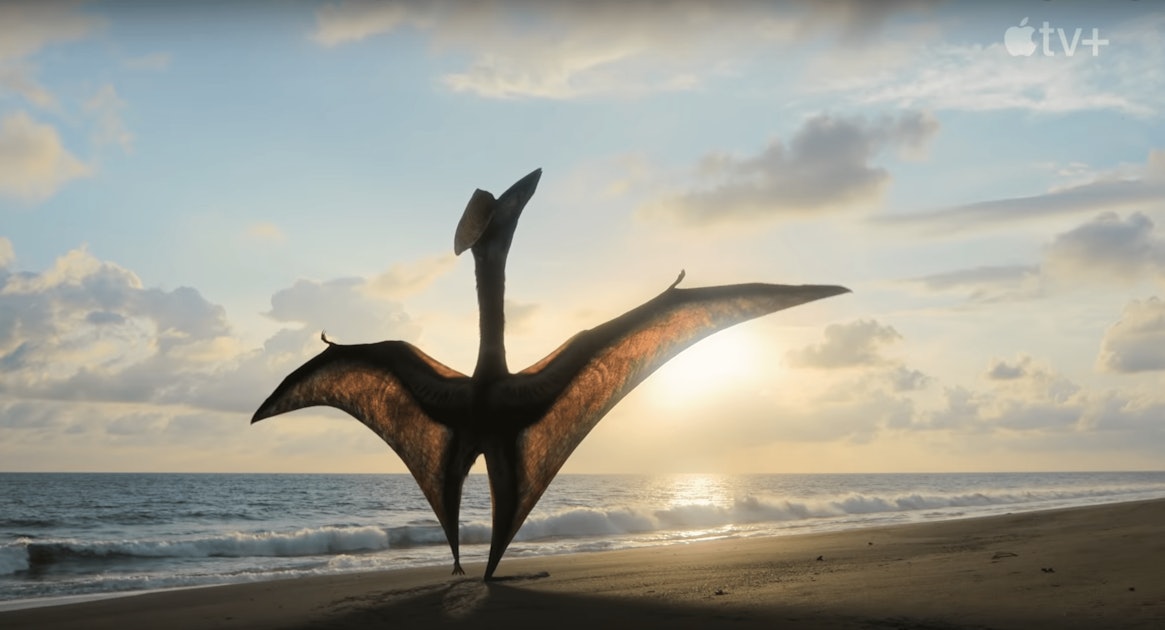 Life on the ocean wave wasn't easy for pterosaurs, Science