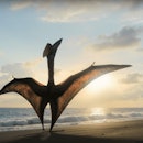 Still image from Prehistoric Planet trailer