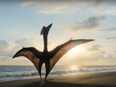 Still image from Prehistoric Planet trailer