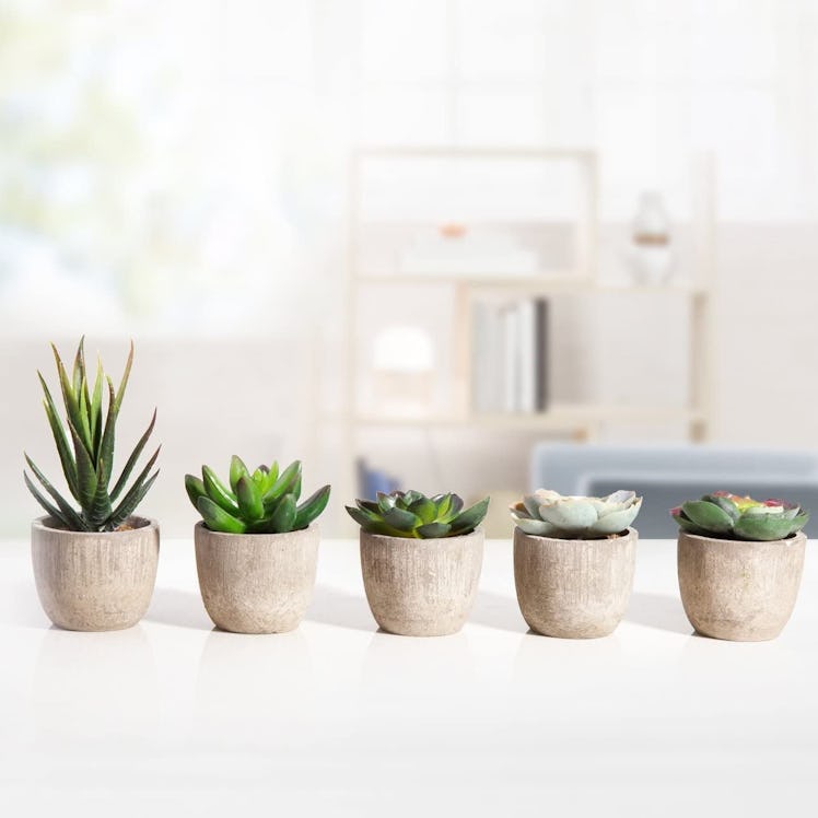 Jelofly Artificial Succulents (5-Pack)