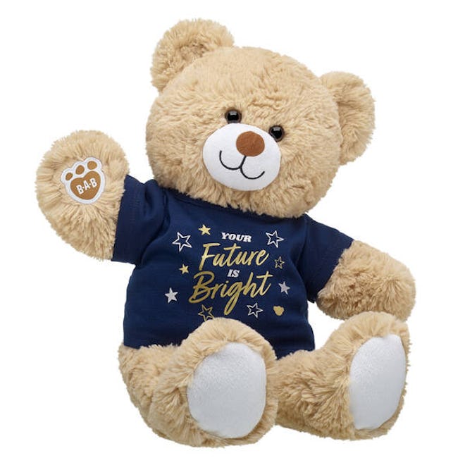 cuddly teddy bear for preschool graduation gift
