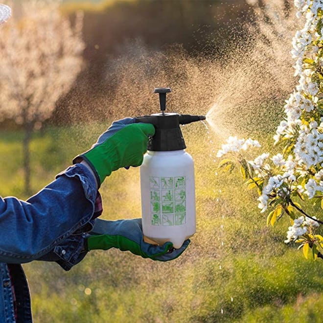 Greenco Pressurized Sprayer Bottle