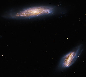 Two saucer-shaped galaxies are seen at the edges of a mostly-black backdrop. The galaxy at the botto...
