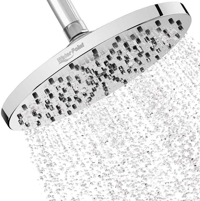 WaterPoint 8-Inch Rainfall Showerhead