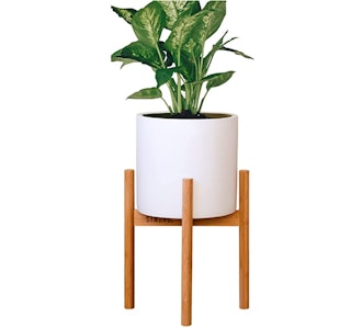 STNDRD. Bamboo Plant Stand