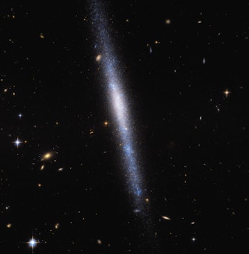 La cinta vertical de estrellas que se ve aquí es una galaxia de forma delgada. 