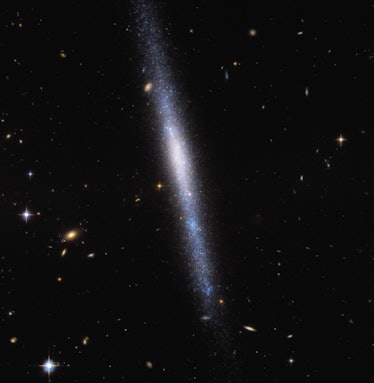 The vertical sliver of stars seen here is a thinly-shaped galaxy. 