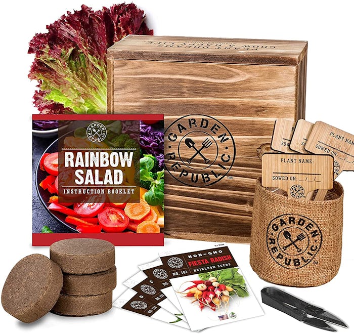 Garden Republic Indoor Garden Vegetable Seed Starter Kit