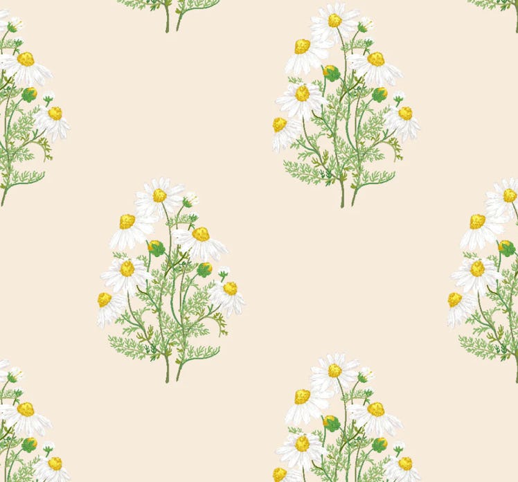 'Fleur De Camomille' Wallpaper by Sarah Jessica Parker - Pearl